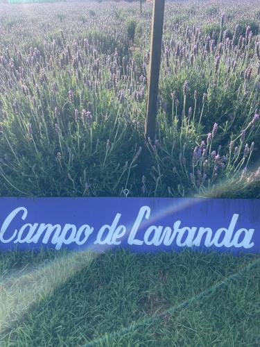 a field of lavender with the words camo de la lambena at Granja & Vivero Lavanda in Texcoco de Mora