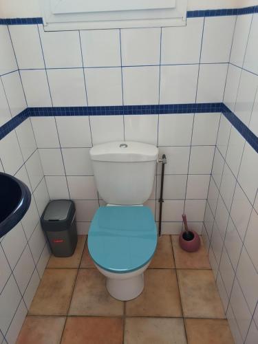 a bathroom with a toilet with a blue seat at 3 logements jusqu'à 11 personnes LE BARCARES plage et village de noel à pied in Le Barcarès
