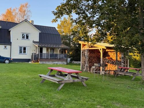 einen Picknicktisch im Gras vor einem Haus in der Unterkunft Teenuse loft 2 in Teenuse
