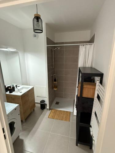 a bathroom with a shower and a sink at Un cocon neuf et lumineux aux portes de Paris in Champigny-sur-Marne