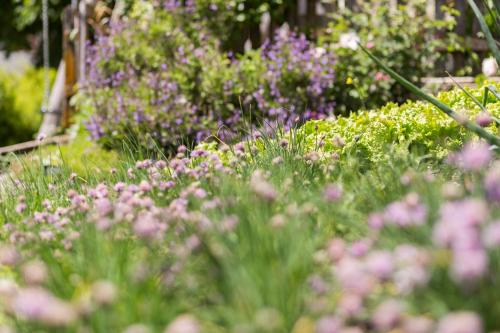 a garden with pink flowers in the grass at Großplonerhof in Luson