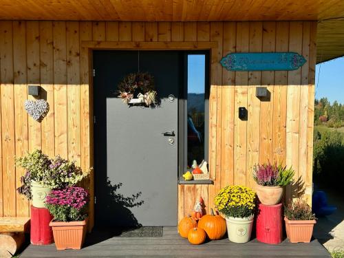 a house with pumpkins and plants inront of a door at Domek Tatry - Stacja Wierchowa 972 m in Brzegi