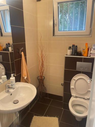 a bathroom with a sink and a toilet and a window at Bosa House in Belgrade