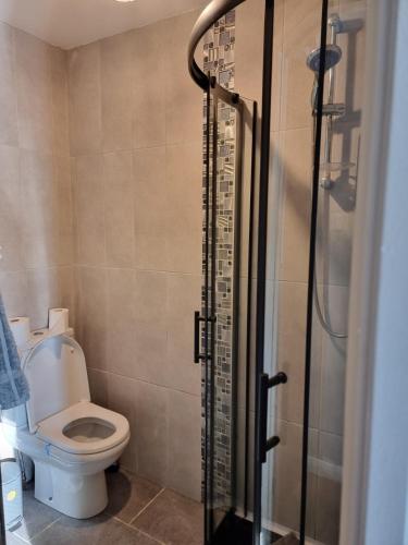 a bathroom with a toilet and a glass shower stall at Rock Ridge Villa in Abertillery