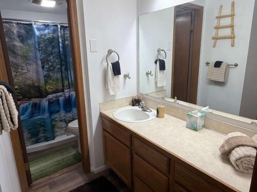 een badkamer met een wastafel, een toilet en een spiegel bij Cozy Bear Condo in Brian Head