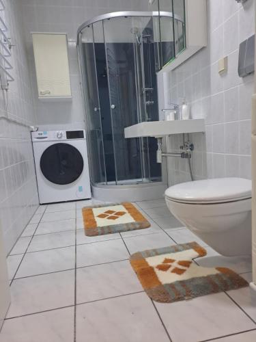 a bathroom with a shower and a toilet and a sink at Gemütliche 4-Zimmer Wohnung mit 7 Schlafplätzen in Chemnitz