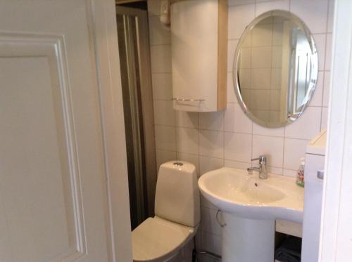 ein Badezimmer mit einem WC, einem Waschbecken und einem Spiegel in der Unterkunft Lusthuset in Sölvesborg
