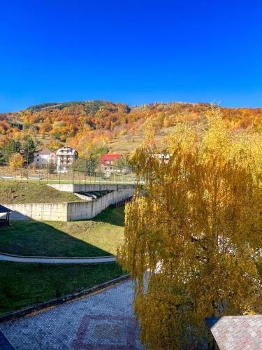 un ponte sopra un fiume in un parco di Hotel Junior a Kopaonik