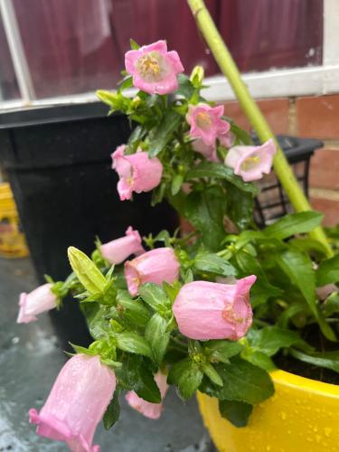 Fotografie z fotogalerie ubytování Best Habitaciones junto a Clinica Santa Fe v destinaci Bogotá