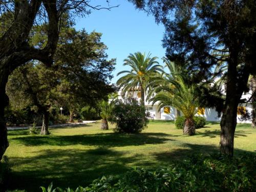 a park with palm trees and green grass at Siesta Mar Apartamentos Ibiza in Santa Eularia des Riu