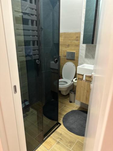 Koupelna v ubytování Zmaj 28