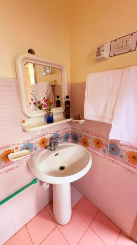 a bathroom with a sink and a mirror at Cottage De Hunza- A Soul Retreat Sanctuary in Hunza Valley
