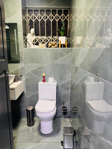 a bathroom with a toilet and a sink at Davenport Durban in Durban