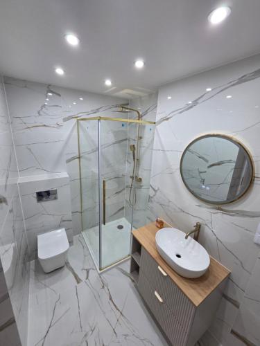 a bathroom with a shower and a sink and a toilet at Apartament Centrum in Kędzierzyn-Koźle