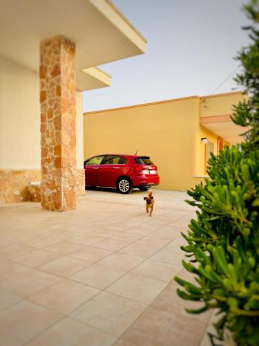 un cane che corre davanti a un'auto in un garage di Casa Vacanze Mareblù ad Alliste