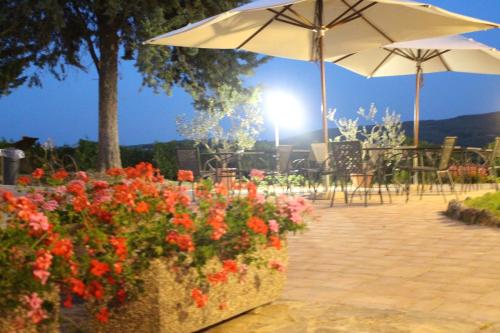 Zahrada ubytování IL COLOMBAIO WINERY & Rooms