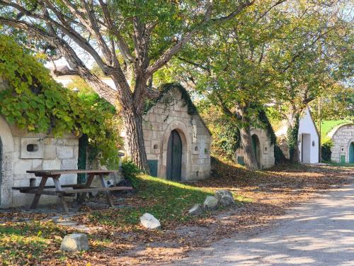 Κήπος έξω από το Apartments Kellergasse