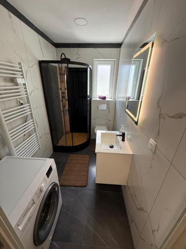 a bathroom with a washing machine and a sink at Bee apartman in Odorheiu Secuiesc