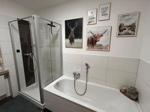 y baño con ducha y bañera con cabina de ducha de cristal. en Pudelwohl in Obermelsungen, en Melsungen