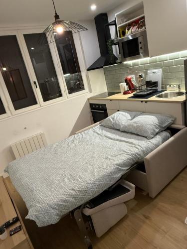 a bed in a kitchen next to a sink at Séjour lumineux et moderne aux portes de Paris in Gentilly