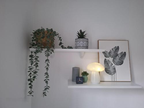 a white shelf with plants and a lamp and a picture at Mj casa vacanza in Borsano