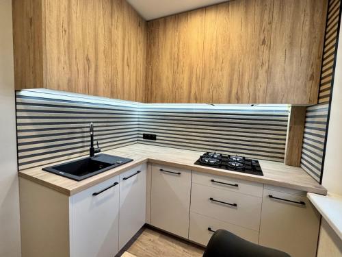 Kuchyň nebo kuchyňský kout v ubytování Cozy Baltic Apartment