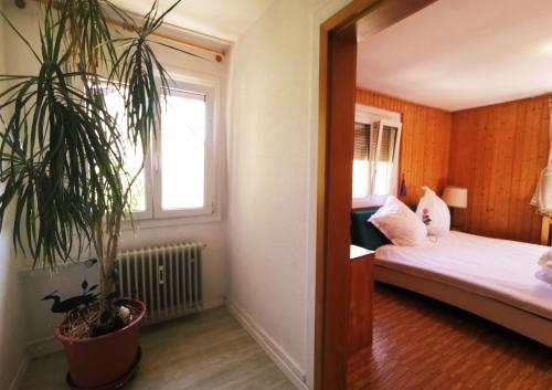 a bedroom with a bed and a potted plant at Rosen Garten Haus in Titisee-Neustadt