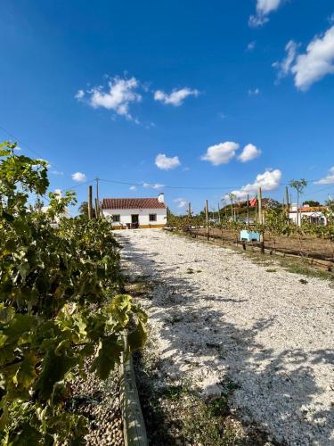 a dirt road with a house in the background at Monte da Rochela in Vila Viçosa