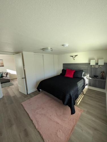 a bedroom with a black bed with a pink pillow at Casa Valencia in Tucson