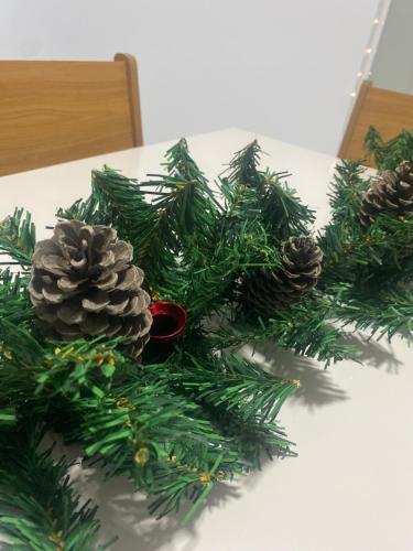 a bunch of pine cones on a table at Casa para o Natal perto do palco centro, 3 quarto in Garanhuns