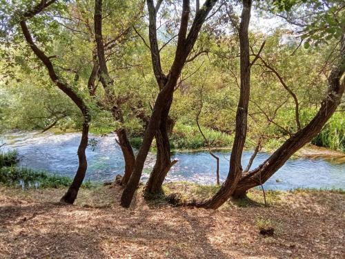 Příroda nedaleko apartmánu