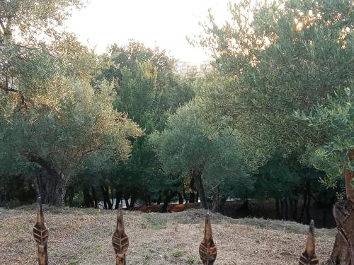 Příroda nedaleko apartmánu