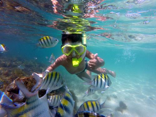 Επισκέπτες που μένουν στο Casa Miss Paripueira