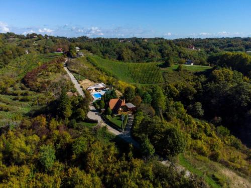 Family friendly house with a swimming pool Gornja Voca, Zagorje - 11873