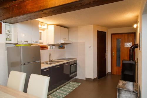 a kitchen with a refrigerator and a sink at Holiday house with a parking space Zlobin, Gorski kotar - 15452 in Benkovac Fužinski