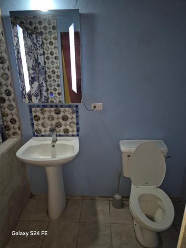 a bathroom with a toilet and a sink at Casa De Morrison-3 bedroom in Plymouth