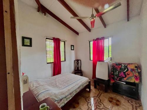 Centro Holistico Casa Orion في سانتا كروز: غرفة نوم بسرير مع ستائر حمراء ومروحة