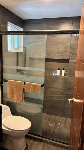 a bathroom with a toilet and a shower at Bonito Departamento en Metepec in San Miguel Totocuitlapilco