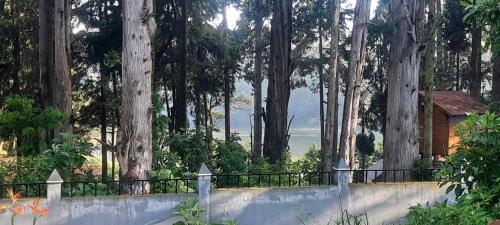 a fence in front of a forest of trees at Kalanja Greens Nilagiri Villa in Ooty