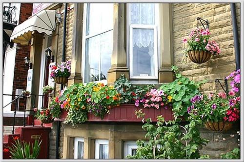 una fioriera con fiori e piante su una casa di Belle View a Skegness