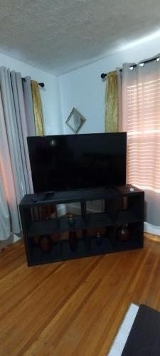 TV a/nebo společenská místnost v ubytování Wytheville Comfort Home