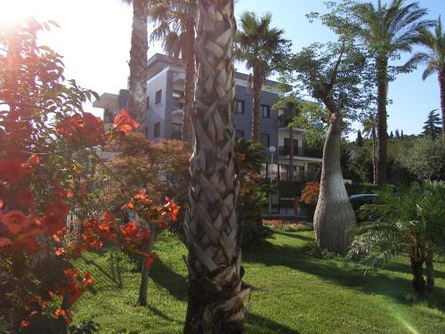 a resort with palm trees and a building at Apartments Mon Amour in Dubrovnik