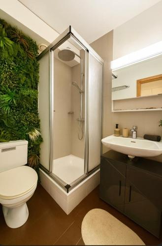 a bathroom with a shower and a toilet and a sink at Vue imprenable sur les Alpes et Parking privé gratuit in Crans-Montana