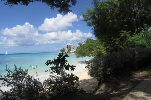 Φυσικό τοπίο κοντά σε αυτό το διαμέρισμα