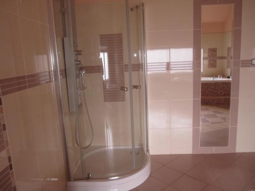 a bathroom with a shower with a glass door at Villa Paradiso in Wrocław