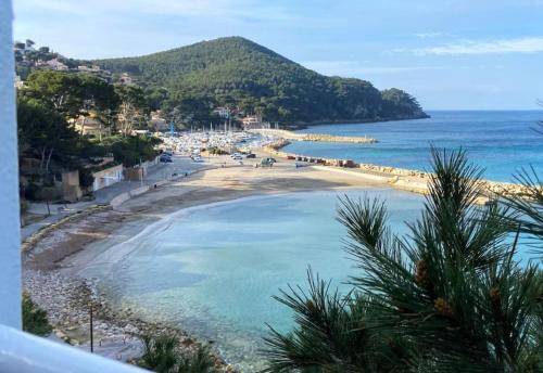 Φυσικό τοπίο κοντά σε αυτό το διαμέρισμα