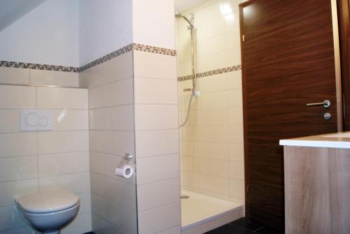 La salle de bains est pourvue d'une douche et de toilettes. dans l'établissement Haus Rosegger, à Feldkirch