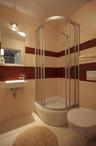 Apartamenty Tęcza tesisinde bir banyo