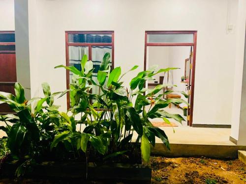 Fotografie z fotogalerie ubytování Villa Elvio v destinaci Habaraduwa Central