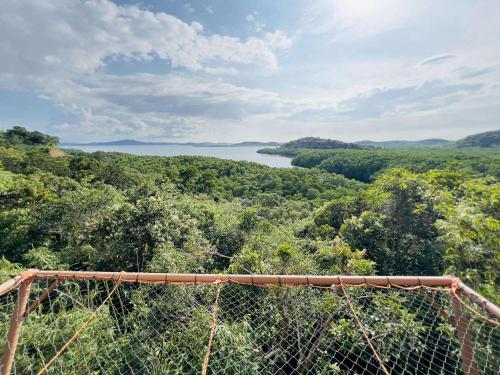 a view of a river from a suspension bridge at Sanctuaria Treehouses Busuanga in Busuanga